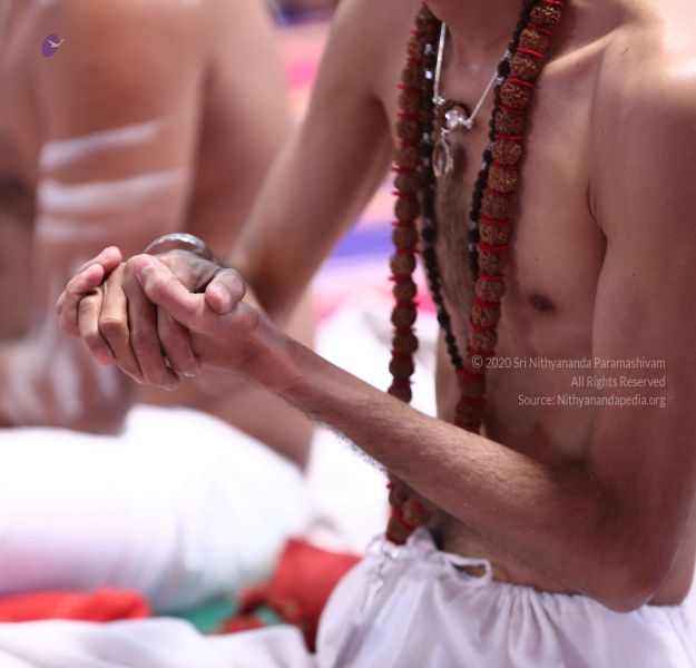 File:20161222 Photo 301 159MdWMcmEF7Q-laYwd tgtnL ut7ugUA.jpg