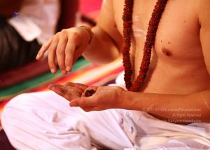 20161222 Photo 305 1A6b7xVZfOp6v6B s1ZGrz75bcB zyMFB.jpg