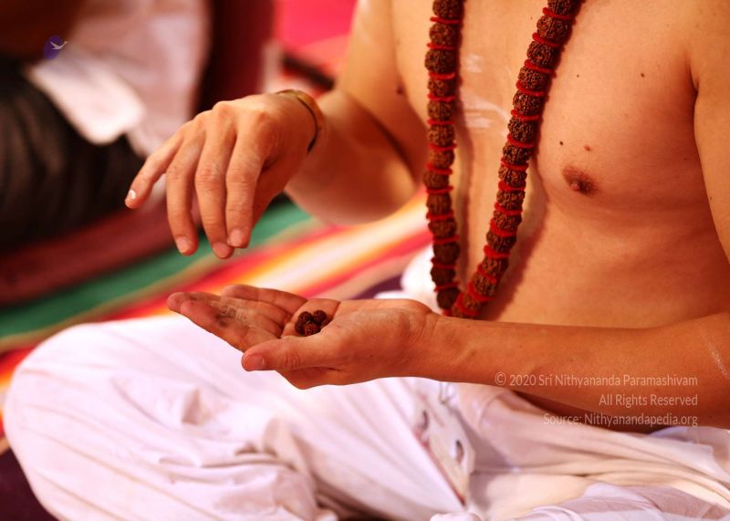 File:20161222 Photo 305 1A6b7xVZfOp6v6B s1ZGrz75bcB zyMFB.jpg