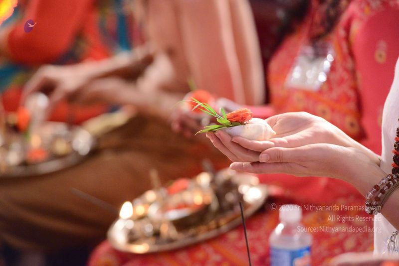 File:20161222 Photo 324 1B4WR7xcsfqHWu1HUmYNhnN8CPa7EZLr0.jpg