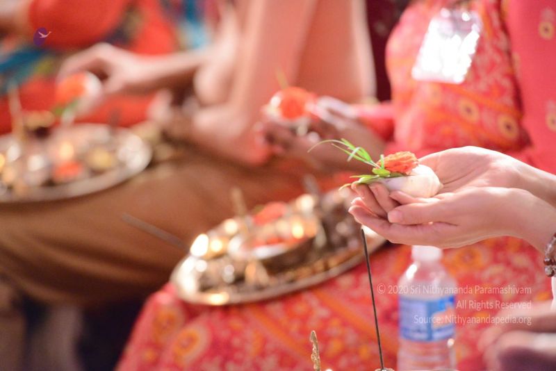 File:20161222 Photo 326 1GwgGXcpspsAT5qj4HdqNb5i9xoxeci7y.jpg