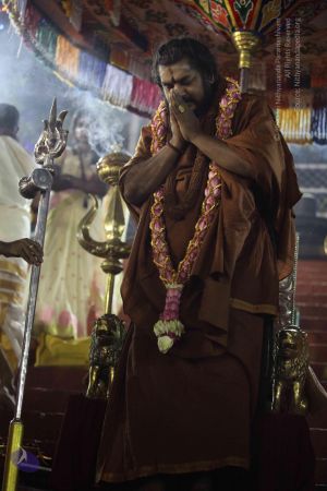 20161223 Photo 1211 1mrw0OeVyp0qmvNoDmNbdOSpnoW8s4xGq.JPG