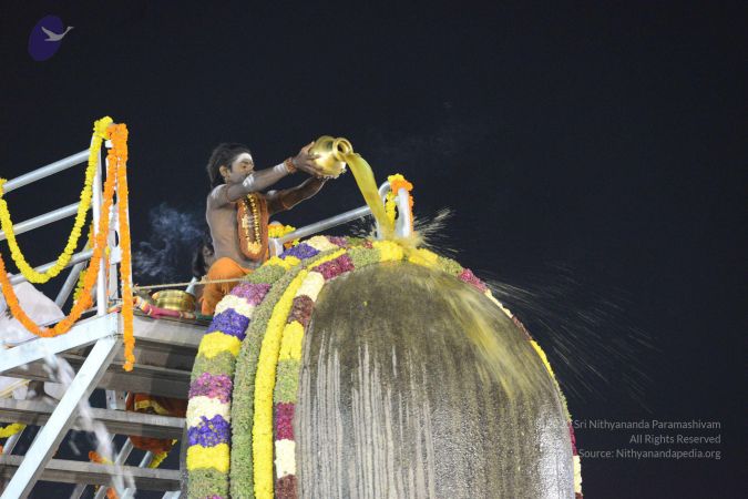 20161223 Photo 1368 1IapdeErrgPXvopRA37o1Ggk-XBdT pX2.JPG