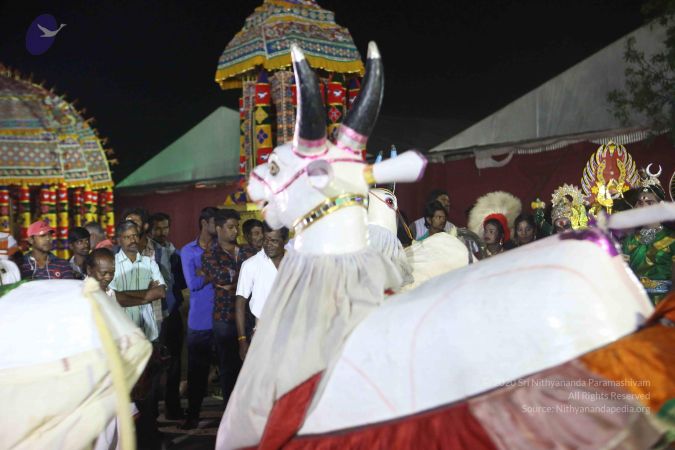 20161223 Photo 1555 1GWnXEXSn6yBeXTAOfj43HOGKYpG8tdp9.JPG