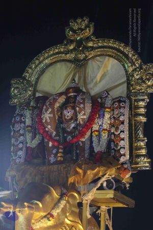 20161223 Photo 1608 1r-62t5 rhizjbC40DO09pkb2dMGpexlY.JPG