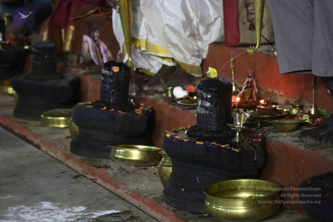 20161223 Photo 1730 1Jw7k7Dy2roiMkOuck8sqi9a1GFmJopPd.JPG