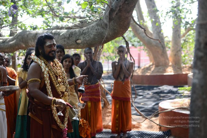 20161223 Photo 1780 1RI466BypHEHA50EJhwf52SzfTlkMwsbD.JPG