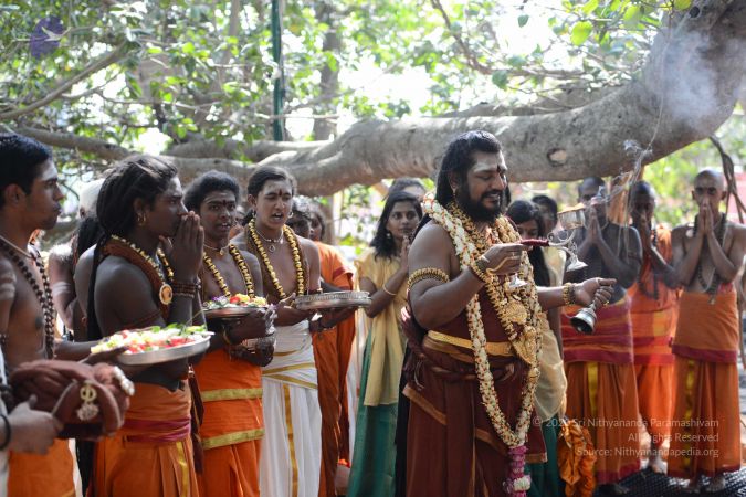 20161223 Photo 1784 1XpjA2wei9xHokRxjKY4scNQHvSGfcQHB.JPG