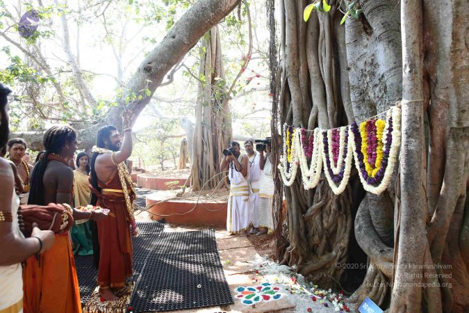 20161223 Photo 2091 1ucpauM3KJPqiQ9i-S8Omk6SPJjlIOE0k.JPG