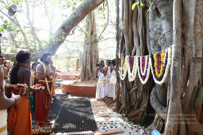 20161223 Photo 2094 1uR4Ub2r0XbKWqVBoCAonX-Gn3PMKqRjL.JPG