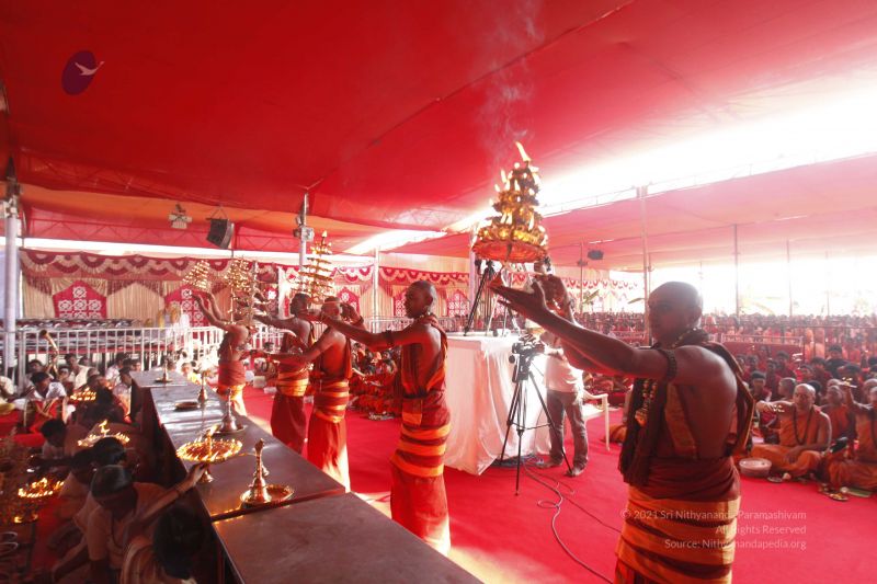 File:20161227 Photo 1220 1MsGs3GE1NRUTKLqGgnWQ88FAsuKGDO0r.JPG