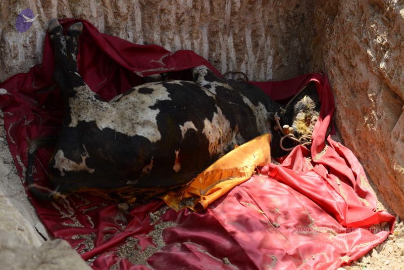 File:20161230 Photo 1000 11eM wz30xoark4CnDQsGyKb1cy9RfTex.JPG