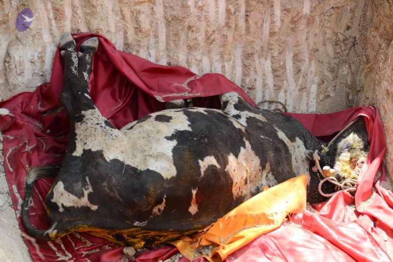 File:20161230 Photo 1002 1CAW W3r7wa39R2WjBq3ujQTzx6RvPJvw.JPG