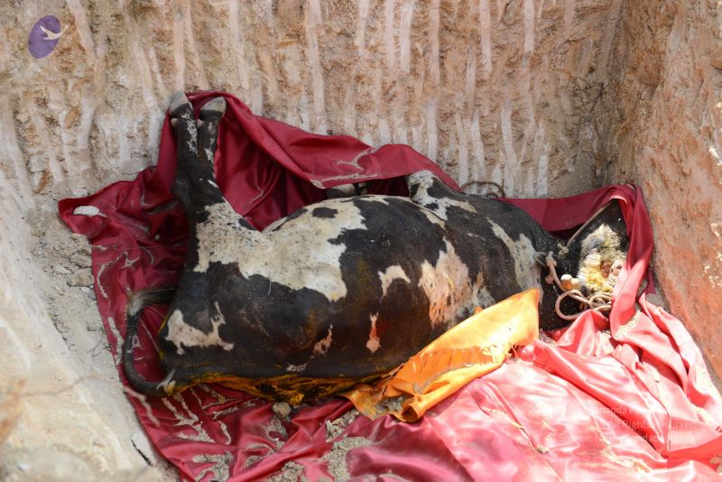 File:20161230 Photo 1003 1TeQpPxnDZVJEK7GZFZwamLB8AjmVzJU1.JPG