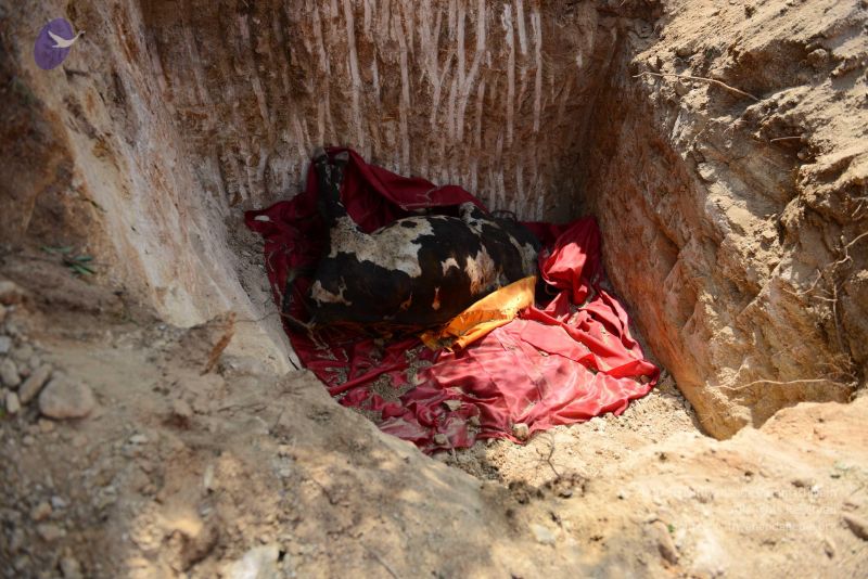 File:20161230 Photo 1004 1yRVdKifcz50Y8VElEIcvfTQXicmmr83s.JPG