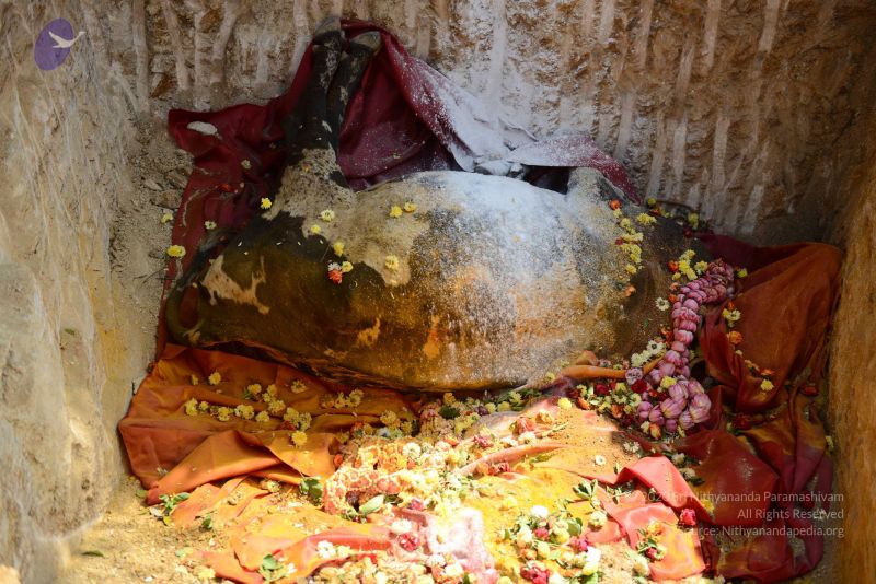 File:20161230 Photo 1040 1nc8XuKq0jgOA W Eg9IkVQQ-PYDe3hfZ.JPG