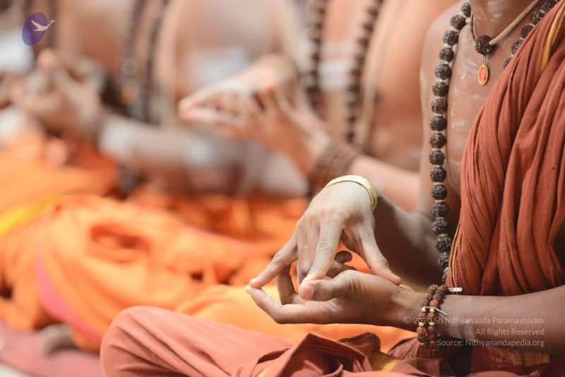 File:20170101 Photo 1010 1l58klfbweCltaIwURso7k49sHNCLhpo-.JPG