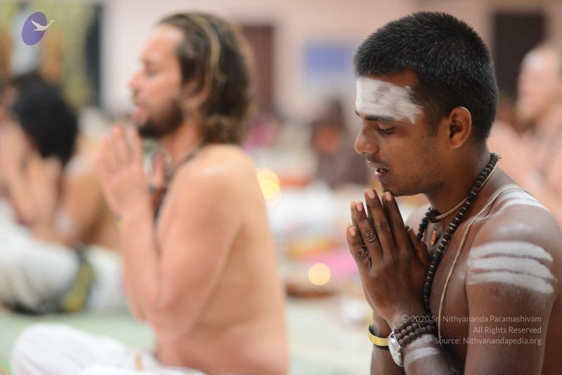 File:20170101 Photo 1042 1AUcvsOFTnlmOAd0ohbveZIJwflTPqc02.JPG