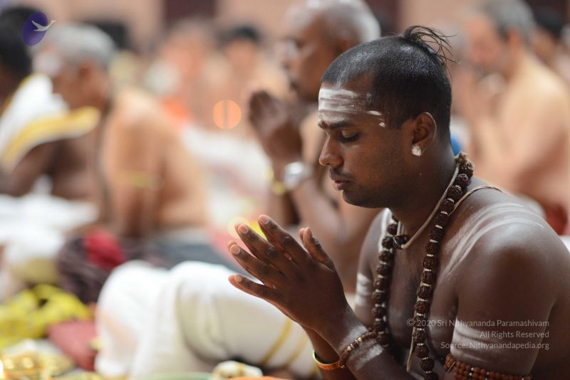 File:20170101 Photo 1044 1q-4gtjdKerZo6A65f49R-ZLkwnmR0NGm.JPG