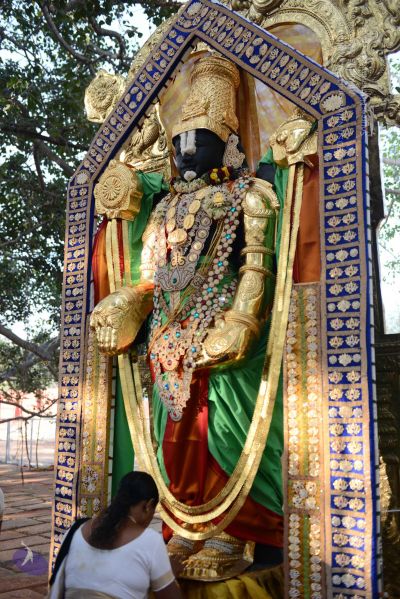 File:20170101 Photo 1134 1gm8vBigfDeBcZTqPf5H-kgwLDsmapxvA.JPG