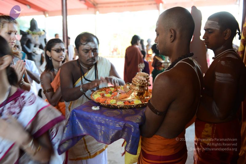 File:20170101 Photo 1135 18XlA4P0KJ zIFxDJ1Sa8YaRMuK6eeEHg.JPG