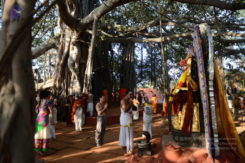 File:20170101 Photo 1145 1NraHhNBU cn86quOY8Ix3K-4751LGyji.JPG