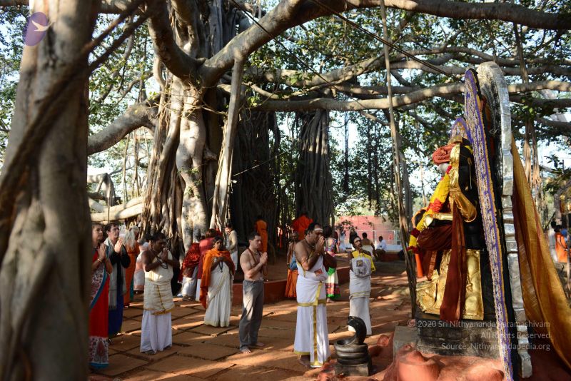 File:20170101 Photo 1146 1ICyA7iGI7dHhKE1KoBdSWTv50SqvWe2d.JPG