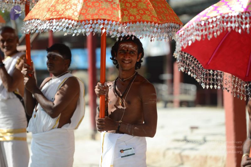 File:20170101 Photo 1477 1S8s4iQqkHUU-mHjdFDVBgyNIW rrzlpC.JPG