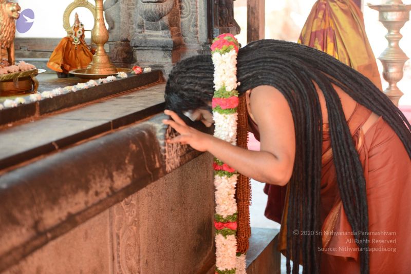 File:20170101 Photo 1513 1f0NpPIgjqQzQs-XnZg5O3aexqSeft6BV.JPG