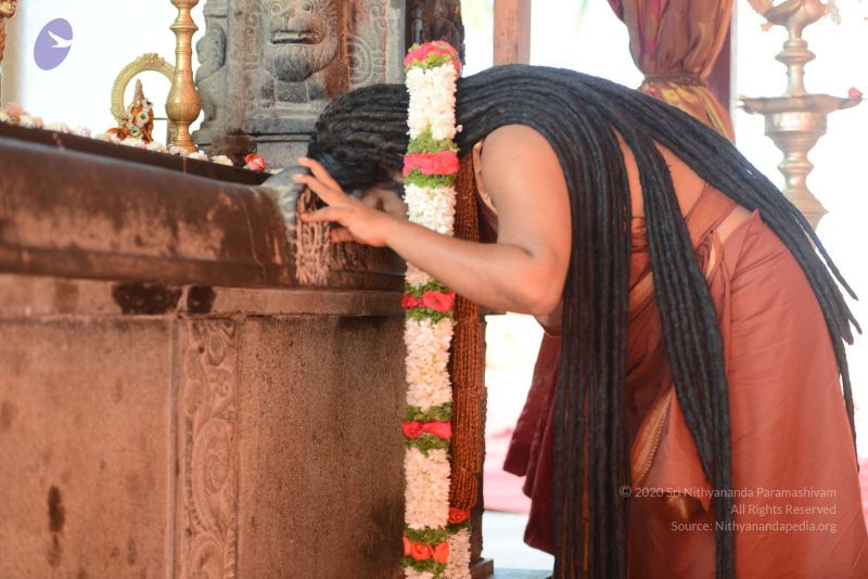 File:20170101 Photo 1517 1doNbLgK7gM0secgs4b5x962QfdZkcWSS.JPG