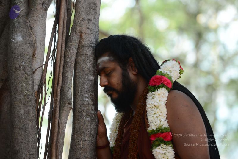 File:20170101 Photo 1529 1I8hNTDSIfogcQqmM6 LzOwEjIK890cAL.JPG