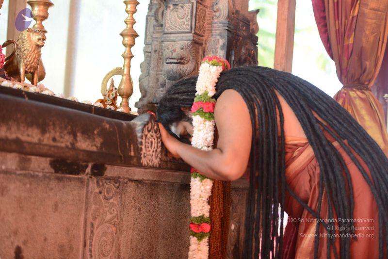 File:20170101 Photo 1536 1f8x0tXYdR6kkT1UwoUBkno9nZa7G84XL.JPG