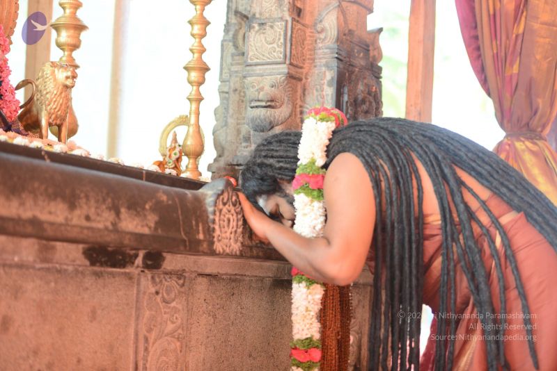 File:20170101 Photo 1538 1435V1bwXK6leSKYAEP08-ZXA9dCuDJbu.JPG