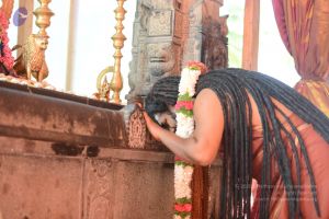 20170101 Photo 1539 10c4CLPiz2rx8sLHxcN2D5uXOlYUbnZ J.JPG