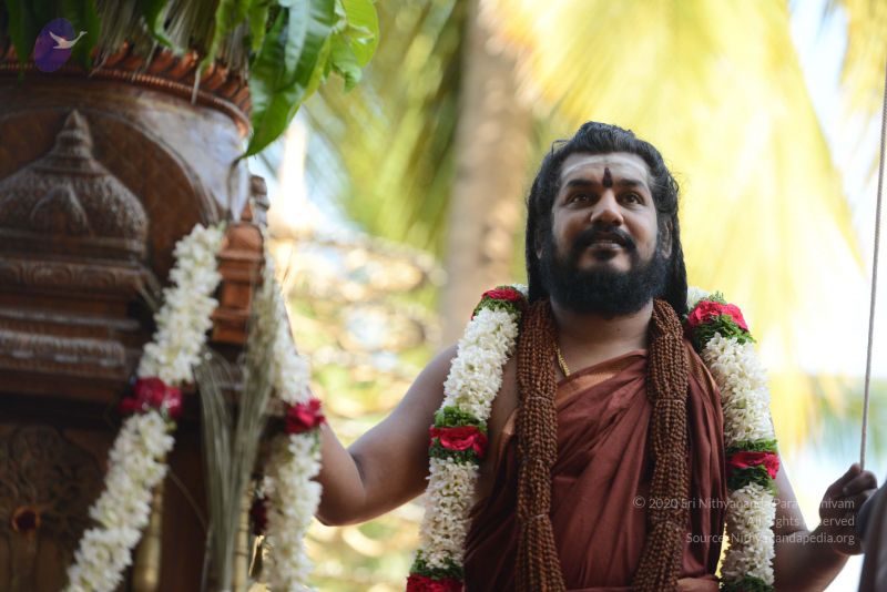 File:20170101 Photo 1563 13quhmy9hndxXAz9Nd14CbkYNNj5vH-5 .JPG