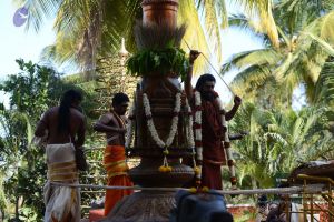 20170101 Photo 1567 1gNP5eYk8q74dg7A-LIfJEMpmqsjGUENM.JPG