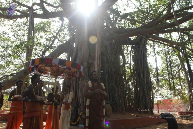 File:20170101 Photo 1622 1Xrku91rN 7ZSHnVPcU55AktOKL965j5U.JPG