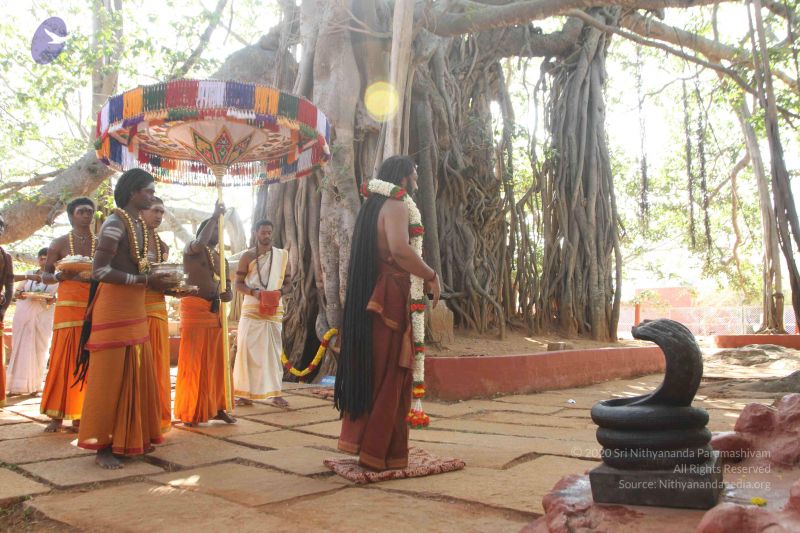 File:20170101 Photo 1623 17EThmQ4P rkl4XQLy63sb-4xCdDxAh4t.JPG