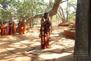 20170101 Photo 1629 1J15ymbJaoCwP Eyz1XD8V0E3YHd5F0Vs.JPG