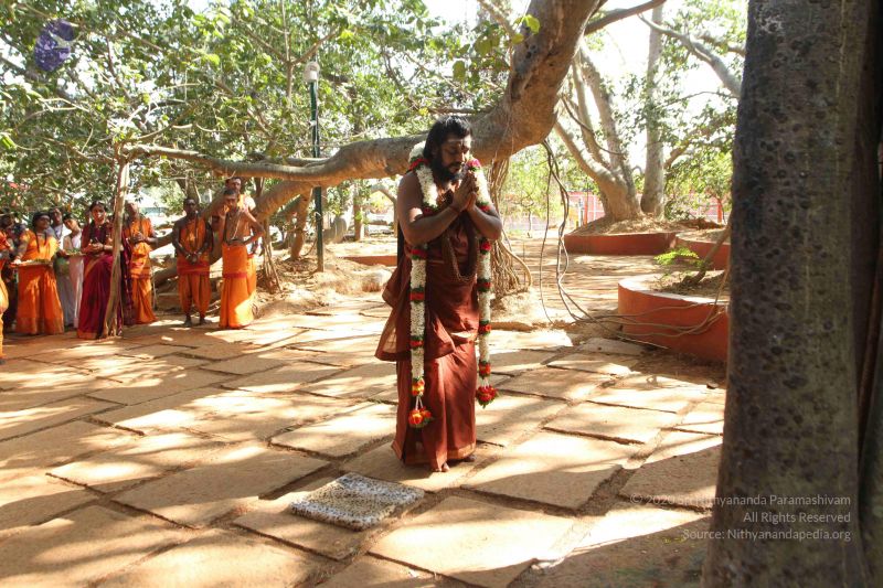 File:20170101 Photo 1629 1J15ymbJaoCwP Eyz1XD8V0E3YHd5F0Vs.JPG