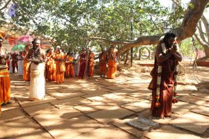 20170101 Photo 1630 11vP2aJVgPC03K5io1tlpLTl3XmGjgIeV.JPG