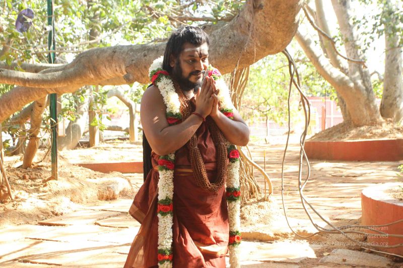 File:20170101 Photo 1633 1QPAQJojCsPIn UJnIJh0nLAdthusoB8K.JPG