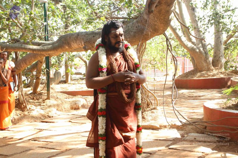 File:20170101 Photo 1635 16w0POK2xS07Xq3zcHVxPGFhT-rSuJpjJ.JPG