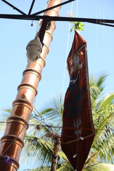 File:20170101 Photo 1636 1fMlinzLhaVGMauL8CS7ywwYAX0D72vyC.JPG