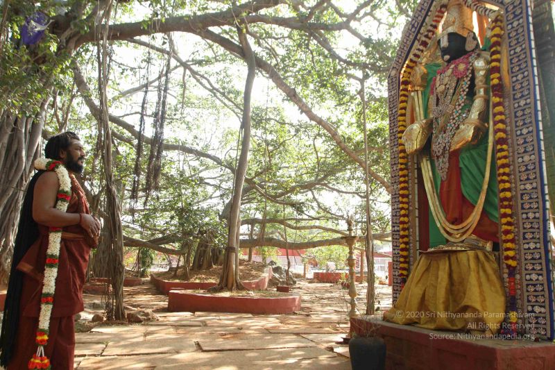 File:20170101 Photo 1642 1je3oDePMxYRJ0FKNlWuNgj-j2jJU8hJh.JPG