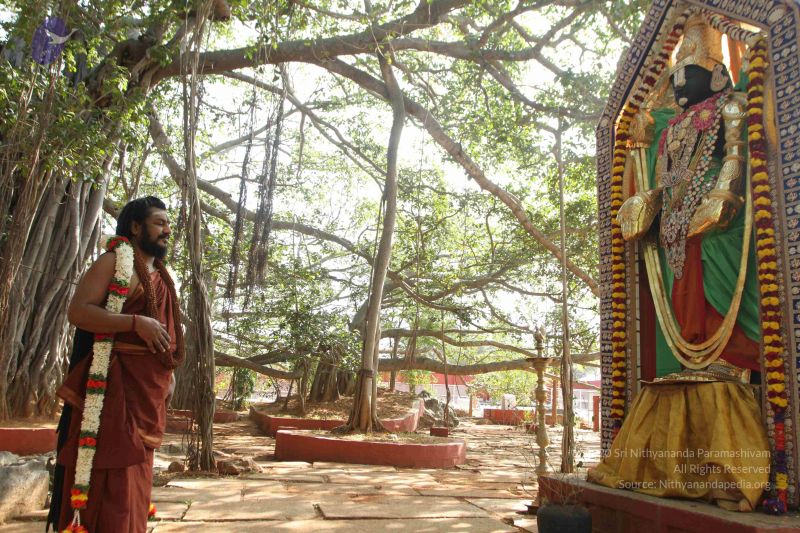 File:20170101 Photo 1644 1Y4CGhI-ViTf8RLPf2IdX 7PEGCTOVMEC.JPG