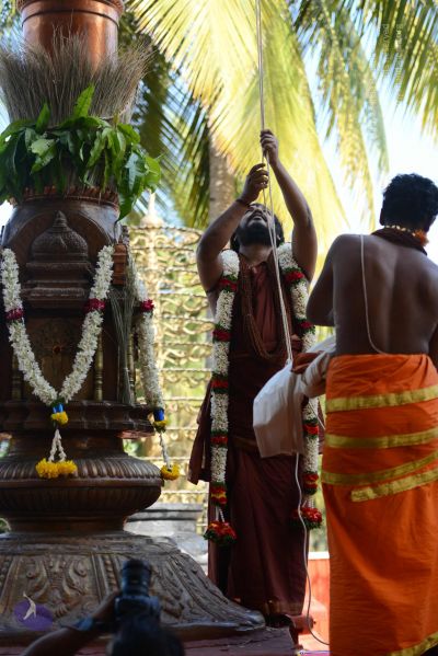 File:20170101 Photo 1647 1KLjJBdq1uPOfqRRBENGOAIl8PCj aCDX.JPG