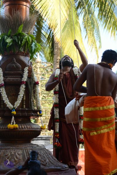 File:20170101 Photo 1648 1IaidJVpxAlA 1wuqwe3 vsg7UzfGl6r1.JPG