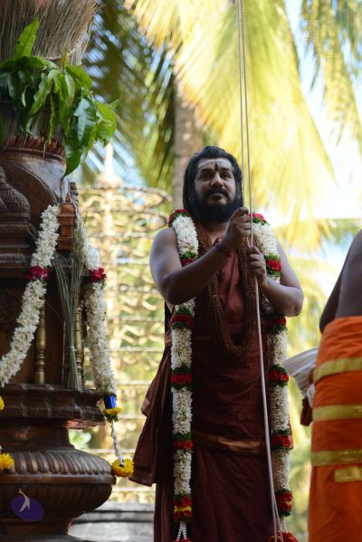 File:20170101 Photo 1650 1CwZNunwlPTVhtAnaosHCZC9sILWupFDo.JPG