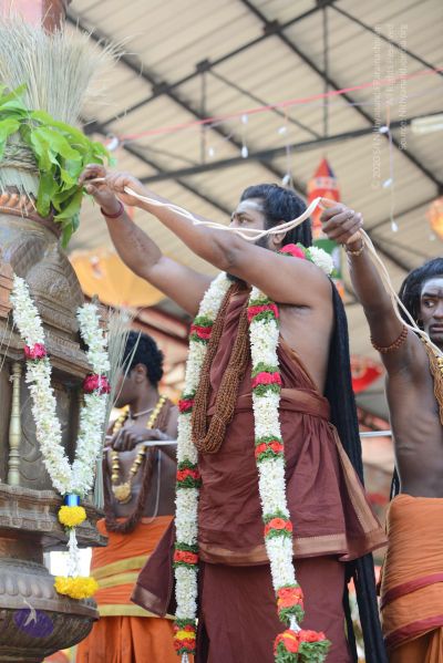 File:20170101 Photo 1663 1s6Zck9TdHma4 GMP LtSZMUoM36SshBB.JPG